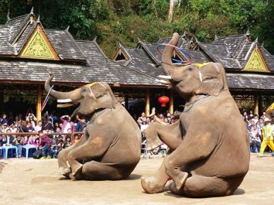 西双版纳野象谷
